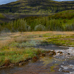 DSC_0423.jpg
