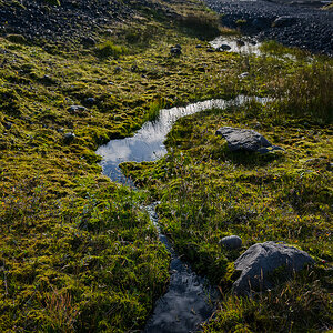DSC_0610.jpg