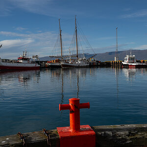 DSC_0705.jpg