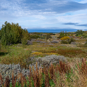 DSC_2178.jpg