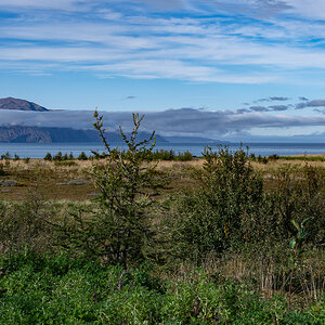 DSC_2179.jpg