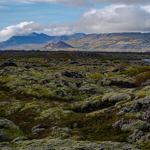 DSC_2239.jpg