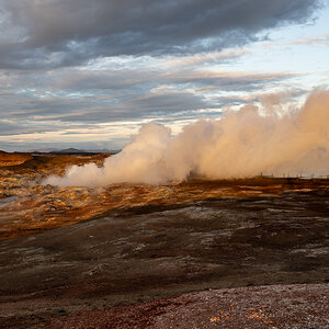 DSC_2419.jpg