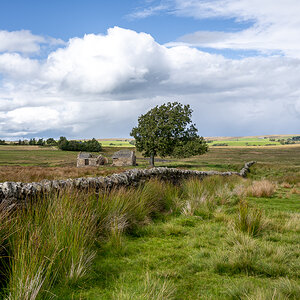 pw_20250902_3272.jpg