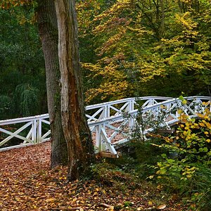 Herbstbrücke 1.jpg