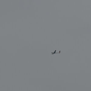 2M120743_DxOAxl.jpg