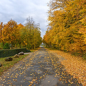 OF2_75809.jpg