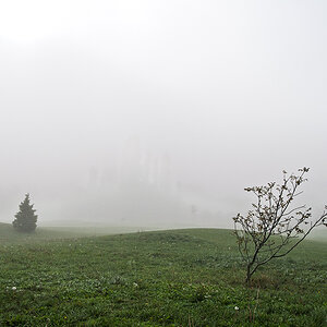 Nebel.jpg