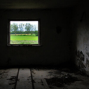Fenster.jpg
