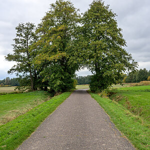 OFZ_02579.jpg