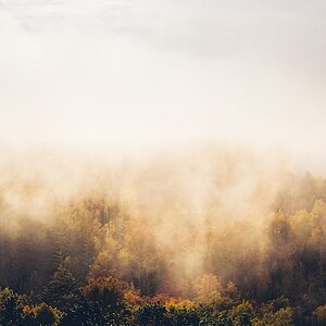 Sächsische Schweiz