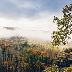 Sächsische Schweiz