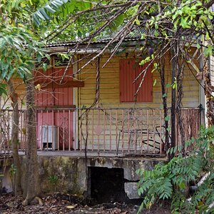 guadeloupe_marode_2.jpg