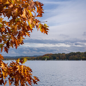 20251022-DSC06665.jpg