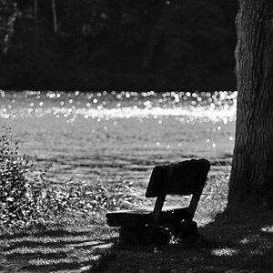 Seebank 3 BW.jpg