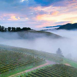 2025_10_23__DJI_Air3S_2025_09_26_073709_0116_D_LN (1).jpg