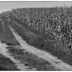 Maisweg_BW 3.jpg