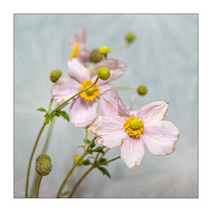 293/365 AnNa R. – Mut zur Liebe © 2025 Sabine Lommatzsch