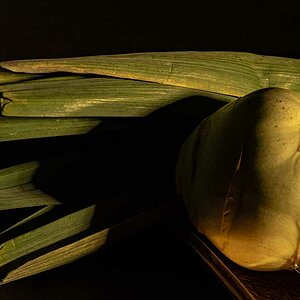 PA270034.jpg