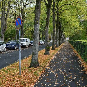 Uelzen-18.jpg