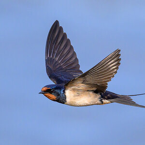 NZ9_1449_Rauchi_Over_IA_5_2025.jpg