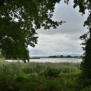 DSC_6275.JPG