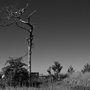 DSC_6145.JPG
