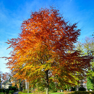 DSC_2866.jpg