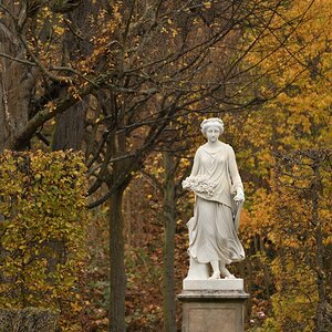 DSC_4208_00001n.jpg