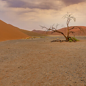 2025-09-19 052 At Dune 45.jpg