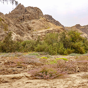 2025-09-21 28 Goanikontes Oasis.jpg