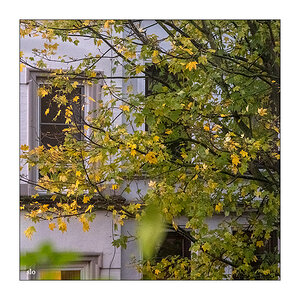 298/365 Muse – Endlessly © 2025 Sabine Lommatzsch