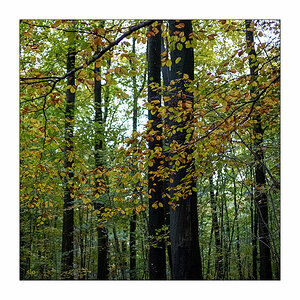 300/365 Anna Ternheim – To Be Gone © 2025 Sabine Lommatzsch