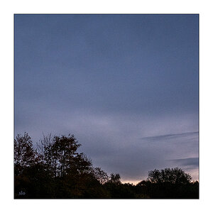 304/365 Anna Calvi + Perfume Genius – I See A Darkness © 2025 Sabine Lommatzsch