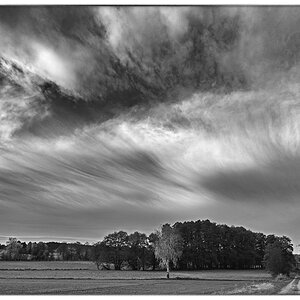 Herbstgewölk 2_BW_1.jpg