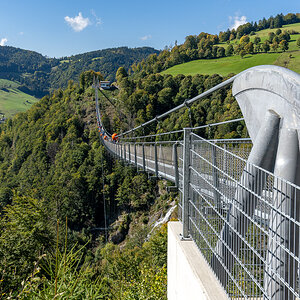 20251002-NZ7_4701.jpg
