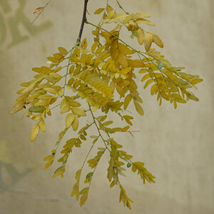 _Z508655_DxOQAxl.jpg