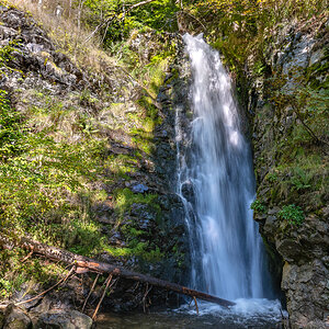 20251002-NZ7_4666.jpg
