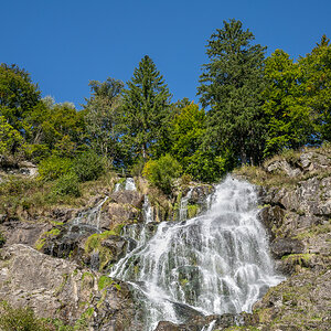 20251002-NZ7_4680.jpg