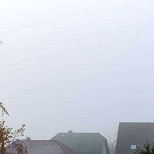 OF2_76378.jpg