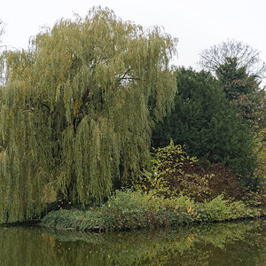_Z508794_DxOxl.jpg