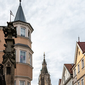 DSC_7087_k.jpg