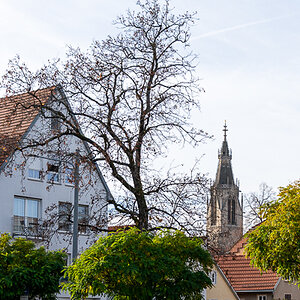 DSC_7099_k.jpg