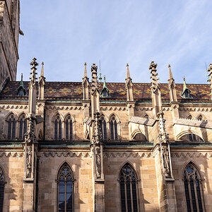 DSC_7110.jpg