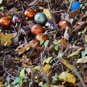 Herbstkugeln.jpg
