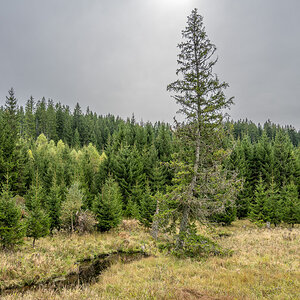 20251003-NZ7_4739.jpg
