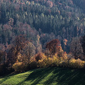 Herbst.jpg