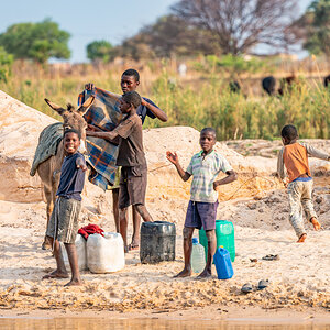 2025-09-28 032 Kids with Donkey.jpg