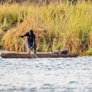 2025-09-28 048 Fisherman on Okavango River.jpg