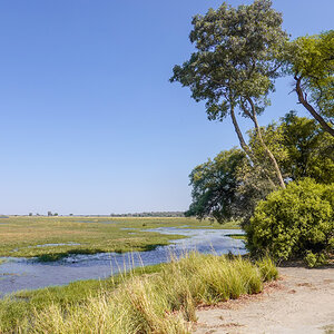2025-09-29 081 Okavango River.jpg